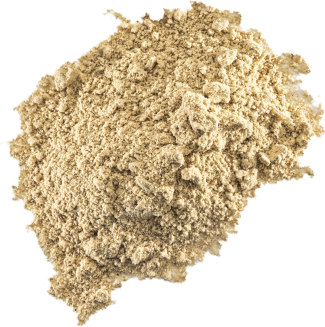 Lion's mane extract powder